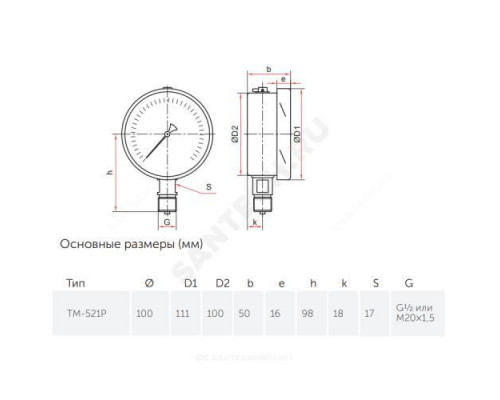 Манометр ТМ-521Р.00 радиальный Дк100мм 0-0,1 МПа кл.1,0 М20х1,5 Росма 00000001208
