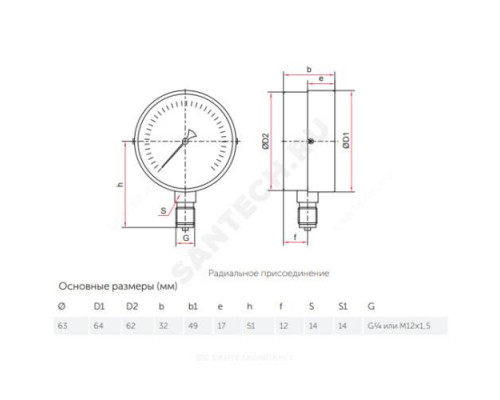 Вакуумметр ТВ-310Р.00 радиальный Дк63мм -0,1-0 МПа кл.2,5 G1/4