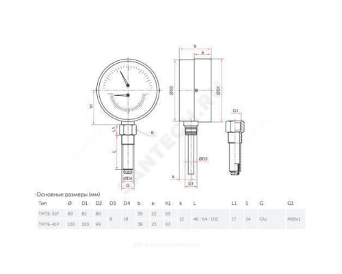 Термоманометр ТМТБ-41Р.1 радиальный Дк100 1,6МПа L=46мм G1/2