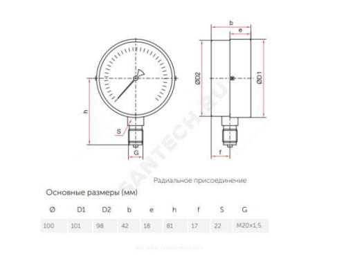 Вакуумметр ТВ-510Р.00 радиальный Дк100мм -0,1-0 МПа кл.1,5 G1/2