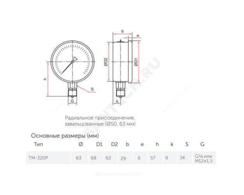 Манометр гидрозаполненный ТМ-320P.10 радиальный Дк63мм 0-2,5 МПа кл.1,5 G1/4