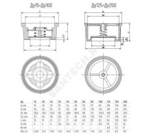 Клапан обратный нерж осевой Ду 150 Ру40 межфл диск нерж Benarmo