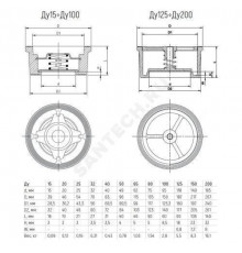 Клапан обратный нерж осевой Ду 100 Ру40 межфл диск нерж Benarmo
