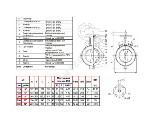 Затвор дисковый поворотный чугун VP4449R-08PTFE Ду 300 Ру10 межфл с редуктором диск нерж манжета PTFE Tecofi VP4449R-08PTFE0300