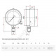 Манометр ТМ-310Р.00 радиальный Дк63мм 0-1,6 МПа кл.2,5 G1/4